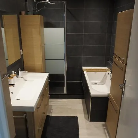 Bel Centre De 100m2 * Strasburgo